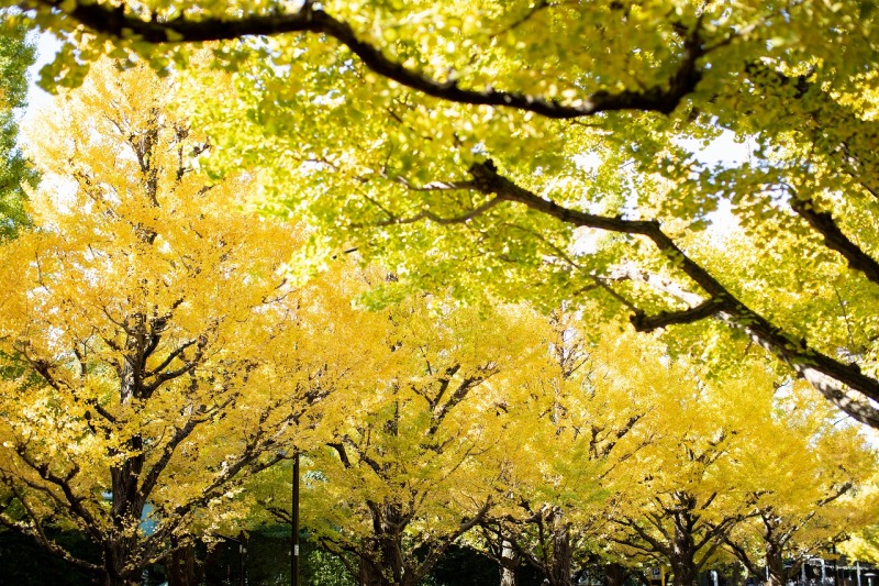 何気ない風景も