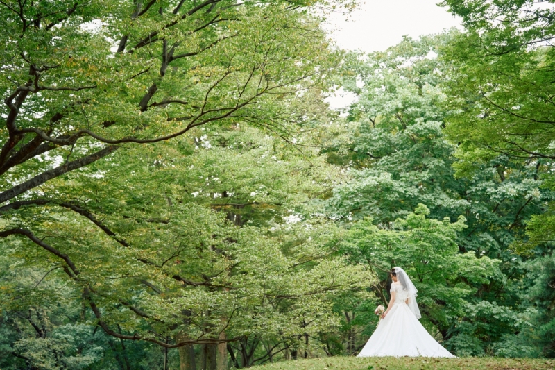 都心でもこんなに緑いっぱい