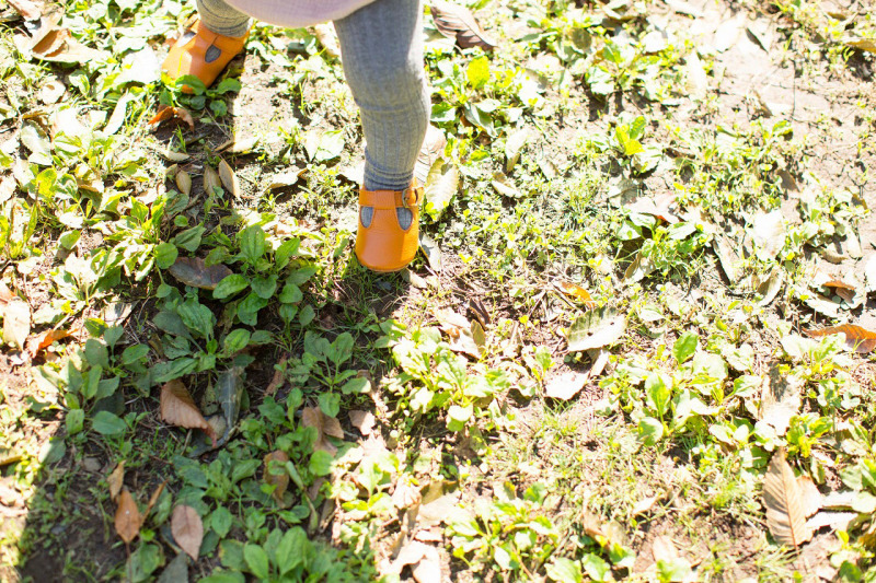 1歳のお子様と一緒に