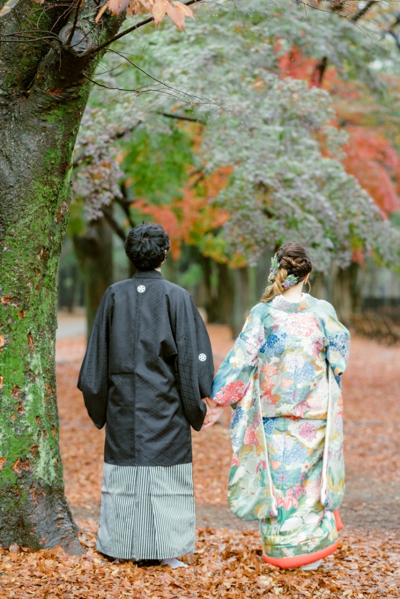 落ち葉のじゅうたん