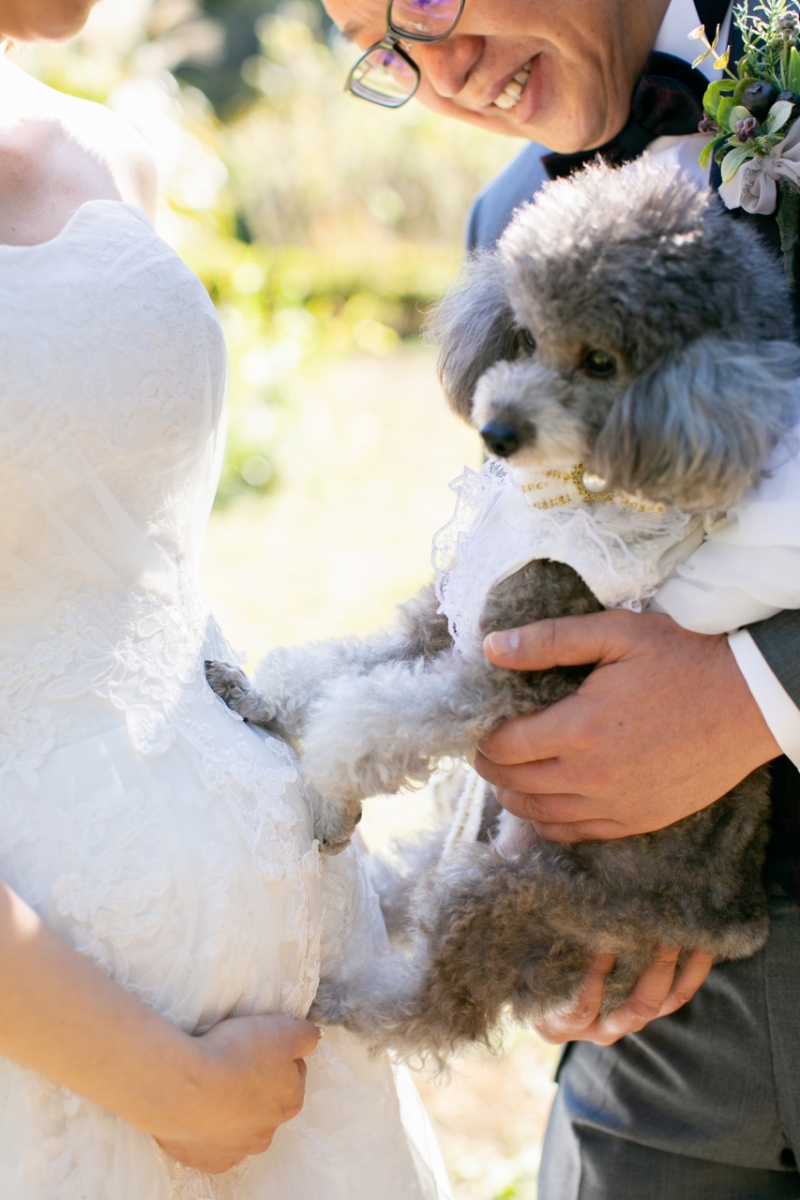 新しい家族にわくわく