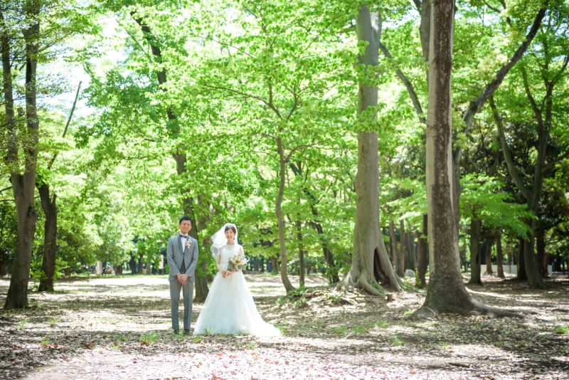 森の中のように