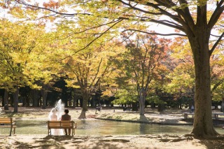 素敵なアルバムで嬉しい！何度も見てはニヤニヤしています(*^o^*)（洋装ロケ）