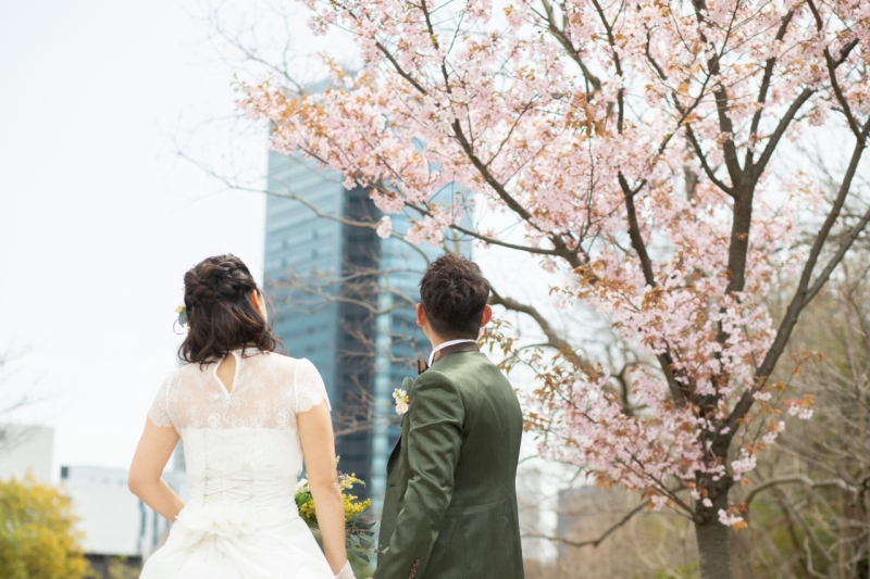 桜のロケーション撮影