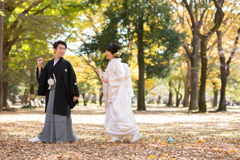 よーく見てください！