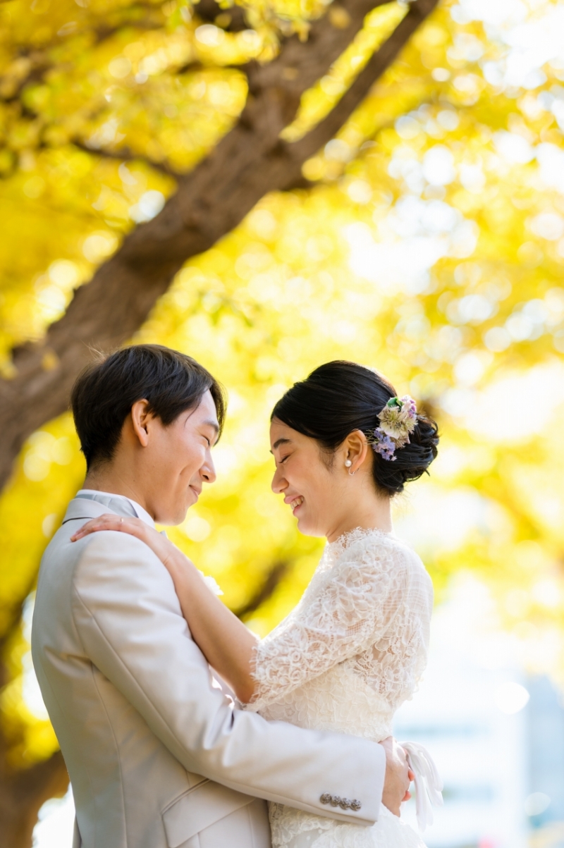 イチョウがきれい!