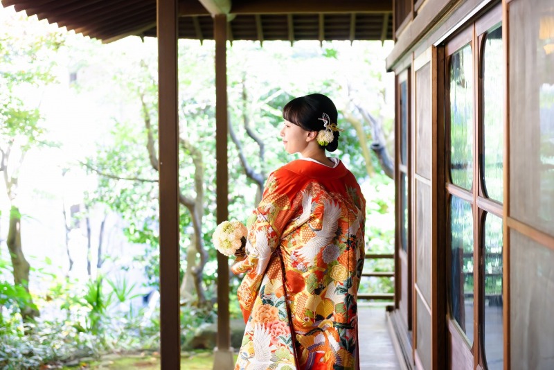 緑と赤のコントラスト