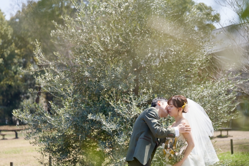 大きな木に見守られて