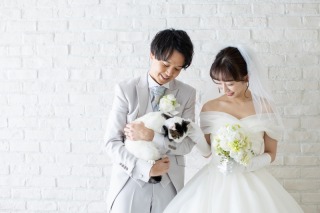 【スタジオ撮影】猫さんと一緒