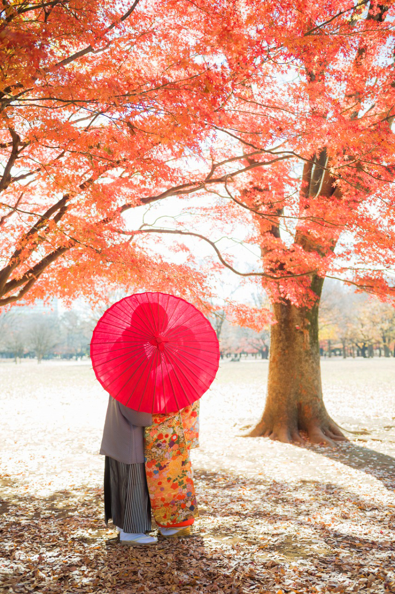 和傘を使ってこんなポーズも