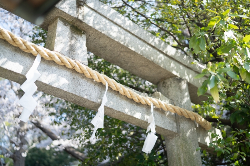 木漏れ日もあたたかい