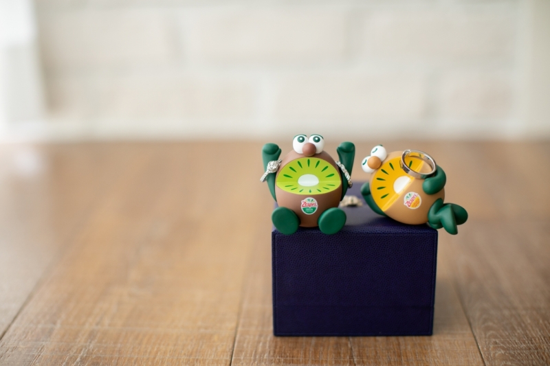 キウイブラザーズがリングピロー