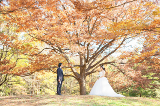 僕たちからのこだわりがなかったのが逆に良かったかもです。