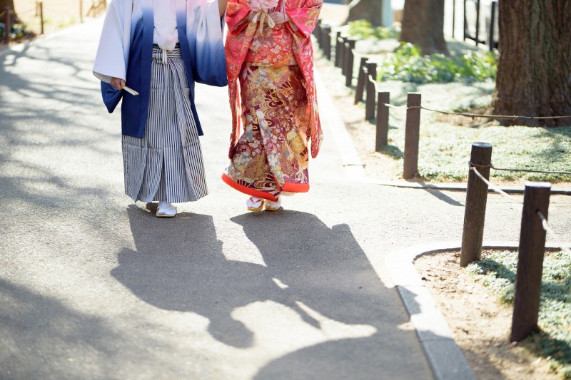 晴れていたらイチョウ並木で撮影も！