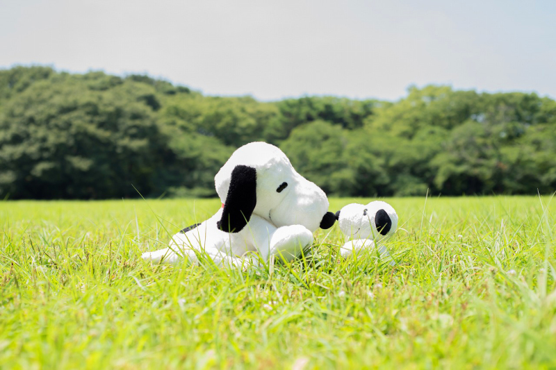 大好きなスヌーピーも！