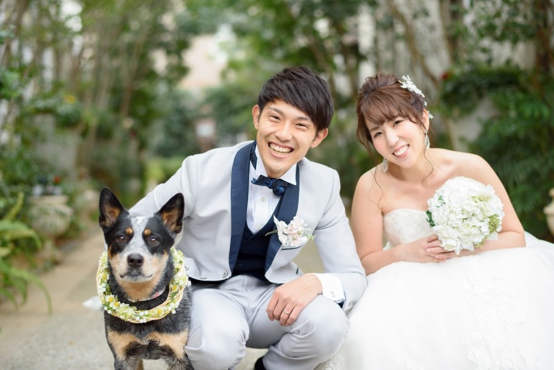 冬でも緑のチャペル、あります！