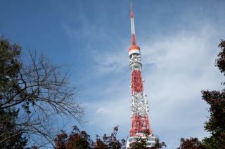 東京タワーのふもとでフォトウエディング