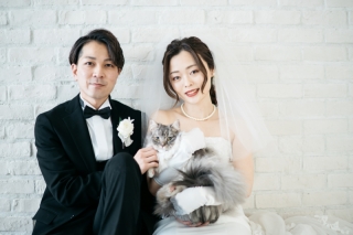 猫と写真を撮りたい外で撮影をしたい、という二つの希望を叶えていただき大満足です。