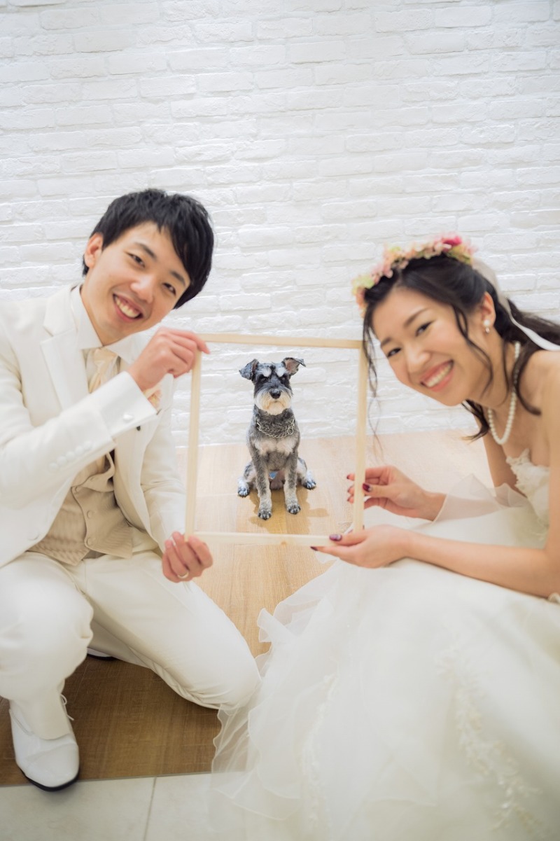 わんちゃんとってもお利巧でした！