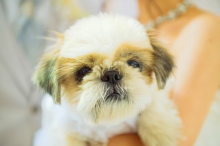 全ての点においてエクー様を選んで良かったと心から感謝。（チャペルフォト）