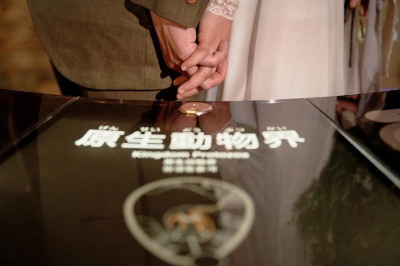 手つなぎカットもオリジナル