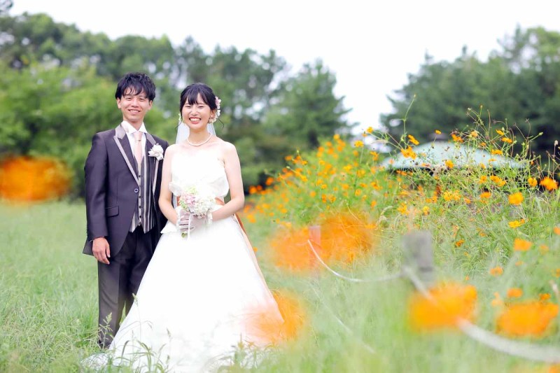 キバナコスモスと一緒に