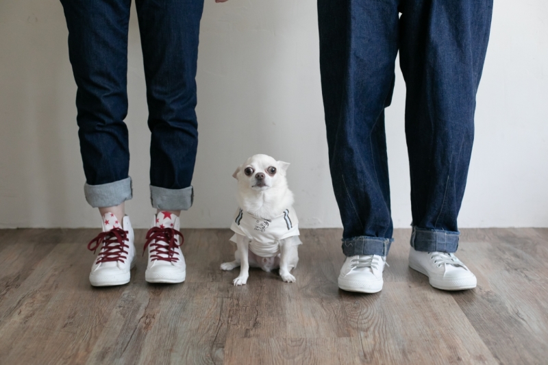 ワンちゃんと一緒にエンゲージメントフォト!