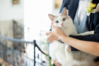 猫にも配慮していただき、みんなが笑顔の写真が残せたことがうれしかったです。