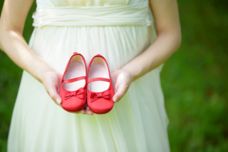 写真だけの結婚式　ecoo（エクー）