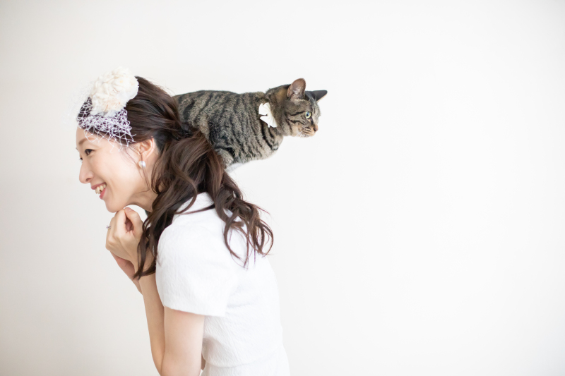 まずは無料プランニングからお気軽に！WEB相談も可