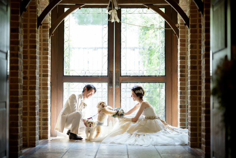 ペットと一緒に撮影できる場所、プランニングします★