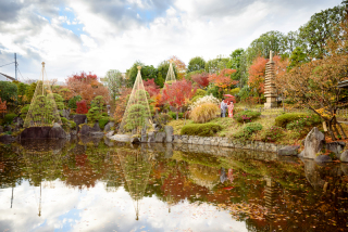 写真だけの結婚式　ecoo（エクー）
