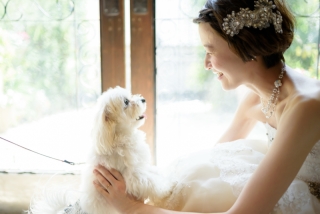 写真だけの結婚式　ecoo（エクー）