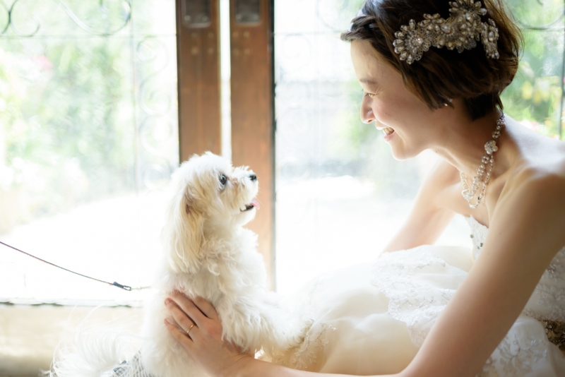 写真だけの結婚式　ecoo（エクー）_ペットと一緒に撮影できる