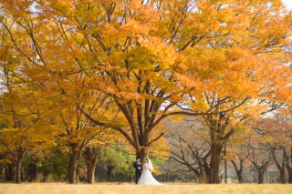 写真だけの結婚式　ecoo（エクー）_紅葉でフォトウエディング