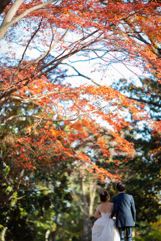 写真だけの結婚式　ecoo（エクー）_紅葉でフォトウエディング