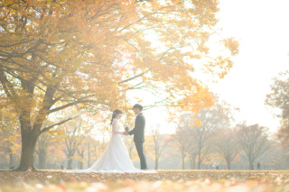 構図のセンスも抜群なのです