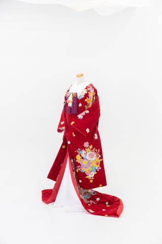 224 赤 ベルベット　椿 万寿菊