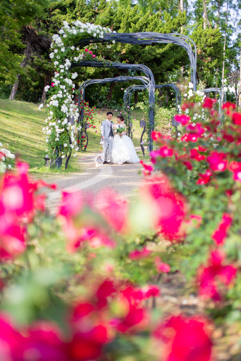 大人気の靭公園!