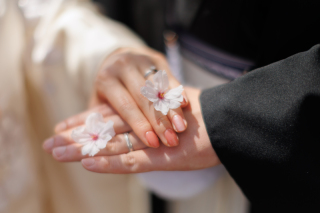 桜 &times; フォトウエディング