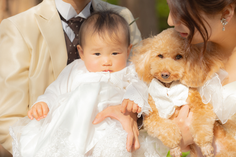 赤ちゃんとペット