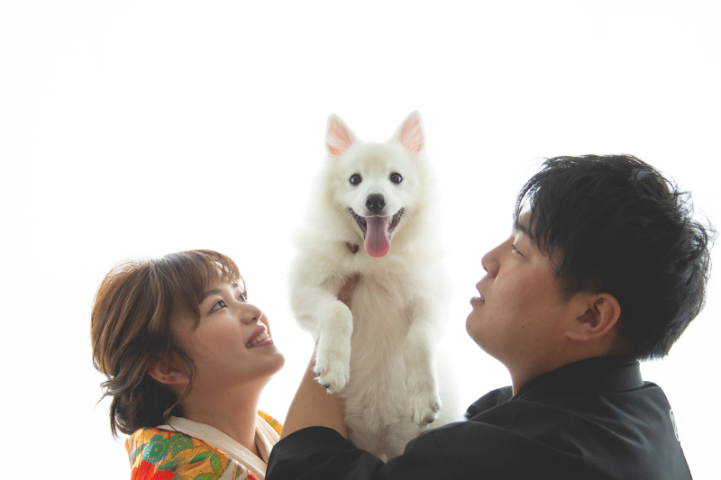 ワンちゃんと一緒に和装スタジオ撮影