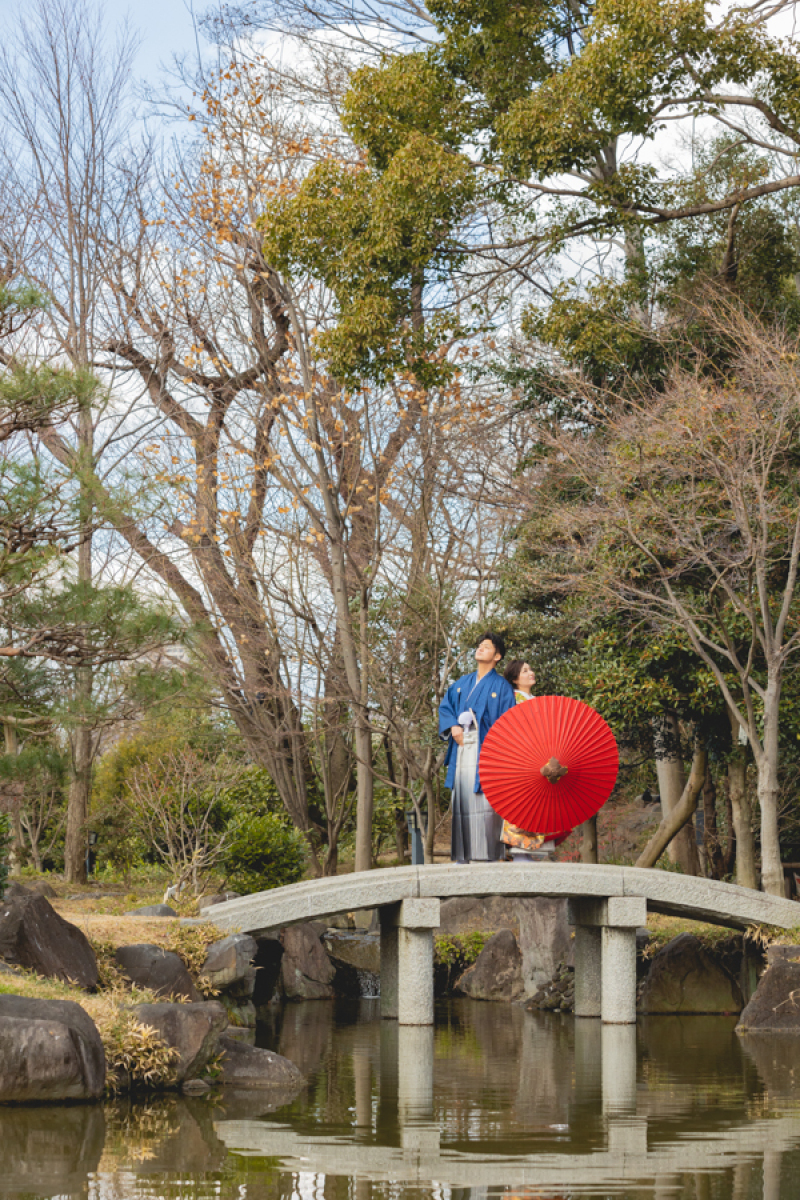 高く聳え立つ木