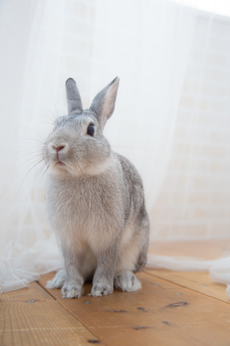 お２人はお色直し中。。