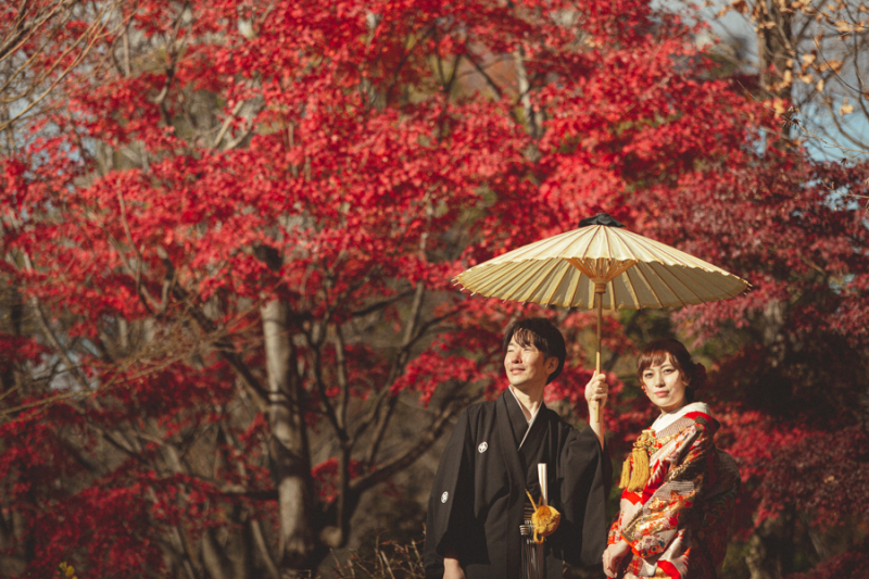 紅葉プラン!
