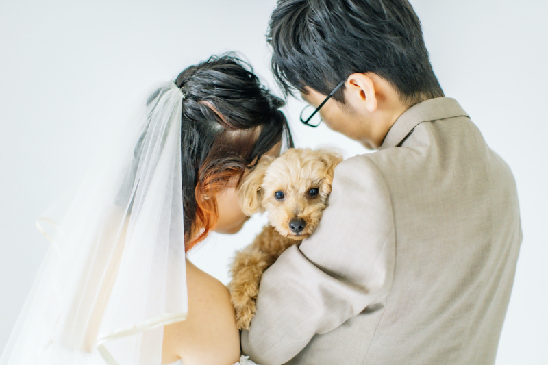 大切なワンちゃんと特別な一日を