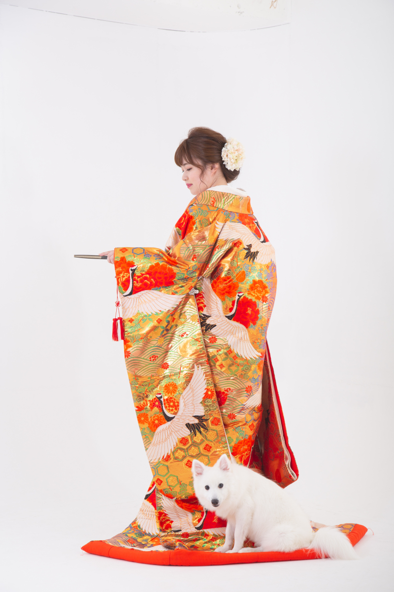 お利口さんなワンちゃん！