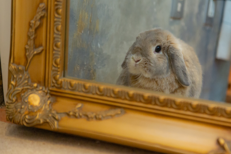 スタジオ内を自由に!