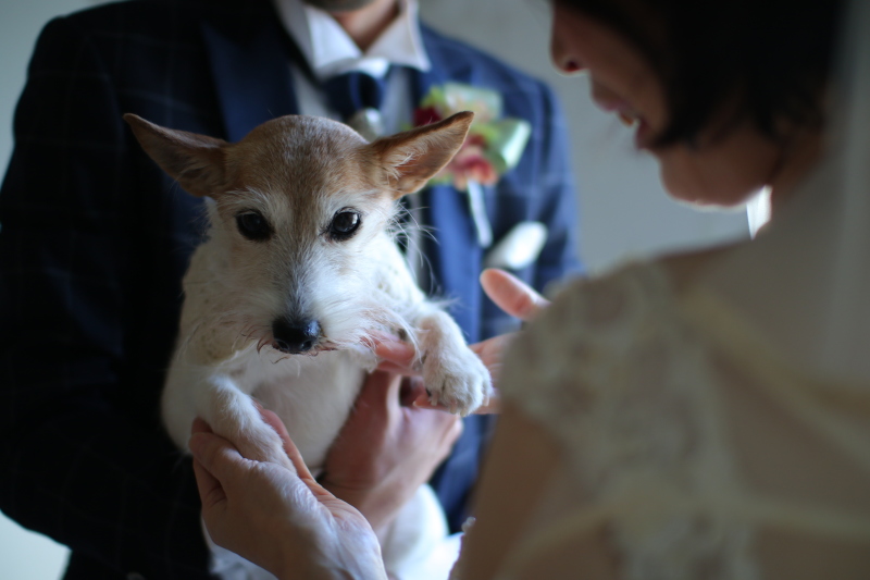 ワンちゃんのお写真も