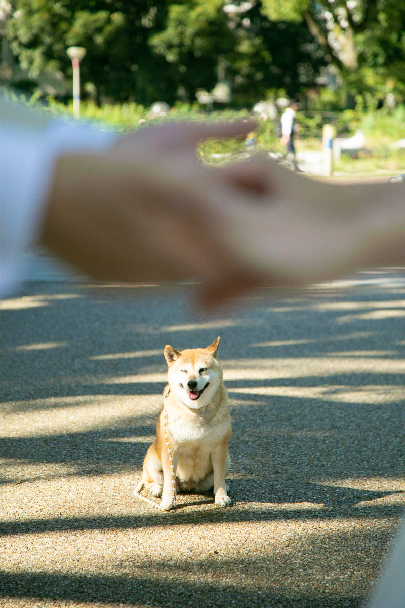 二人の手の先には・・・
